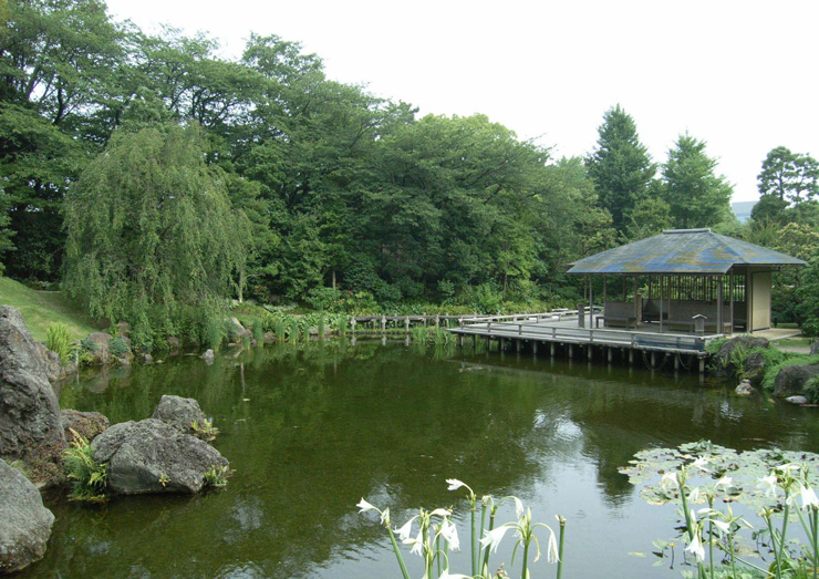 幽玄ライトアップ「紅葉山庭園」 